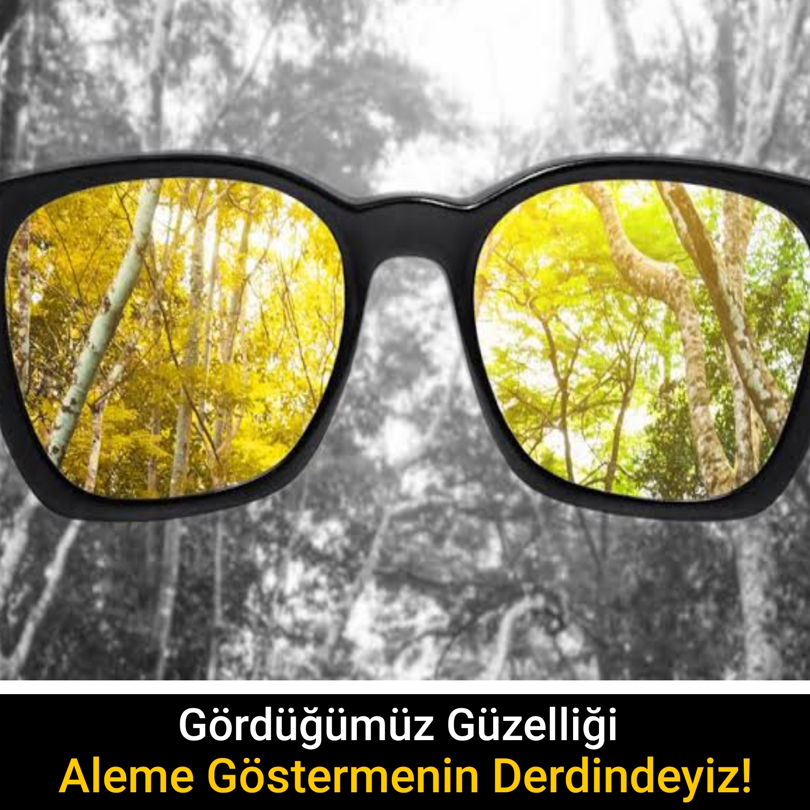 Gördüğümüz Güzelliği Aleme Göstermenin Derdindeyiz!