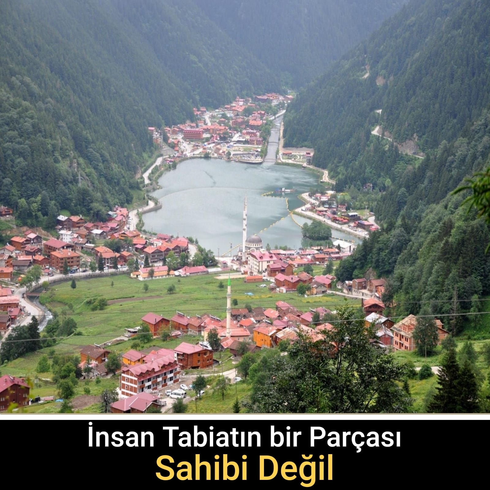 İnsan Tabiatın bir Parçası, Sahibi Değil