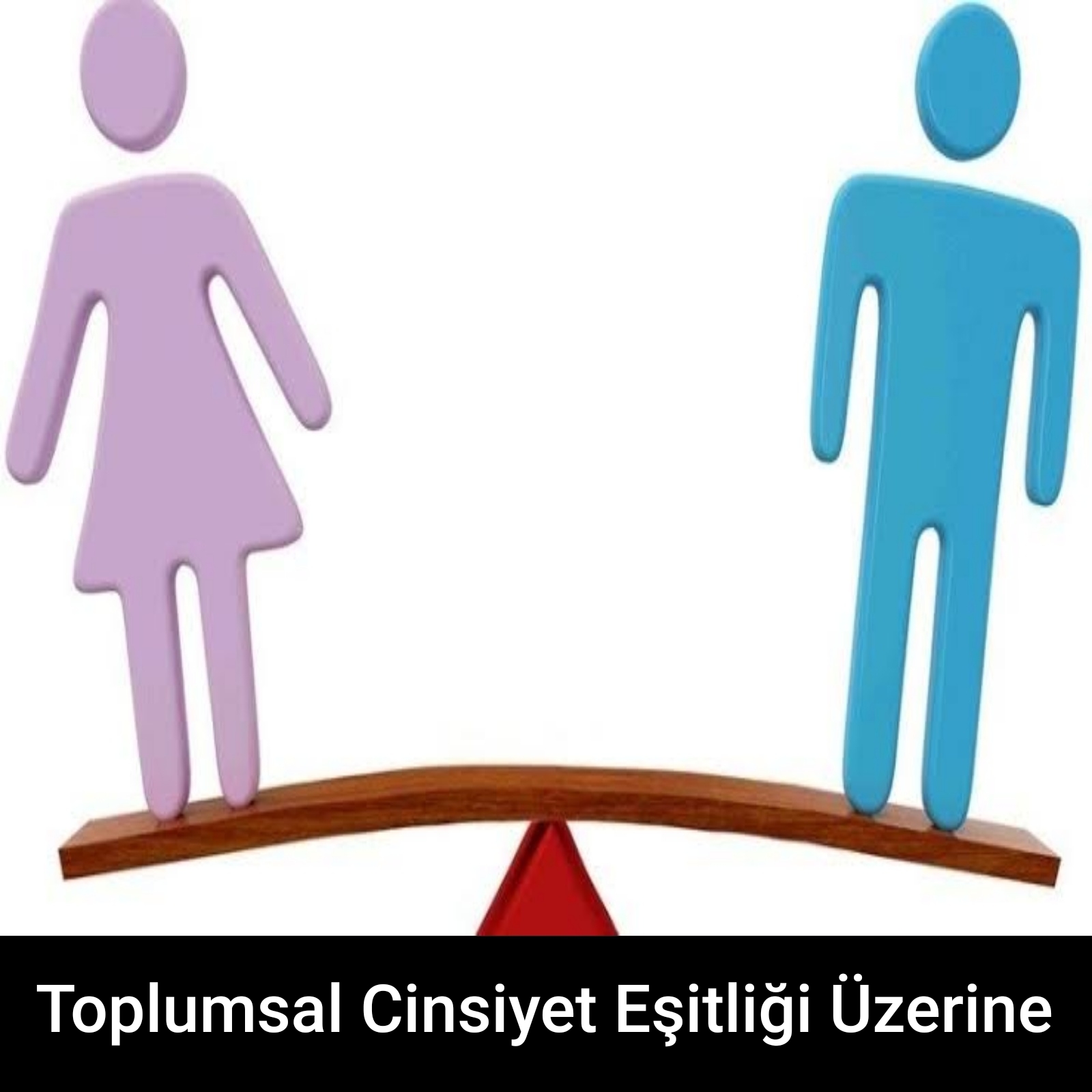 Toplumsal Cinsiyet Eşitliği Üzerine