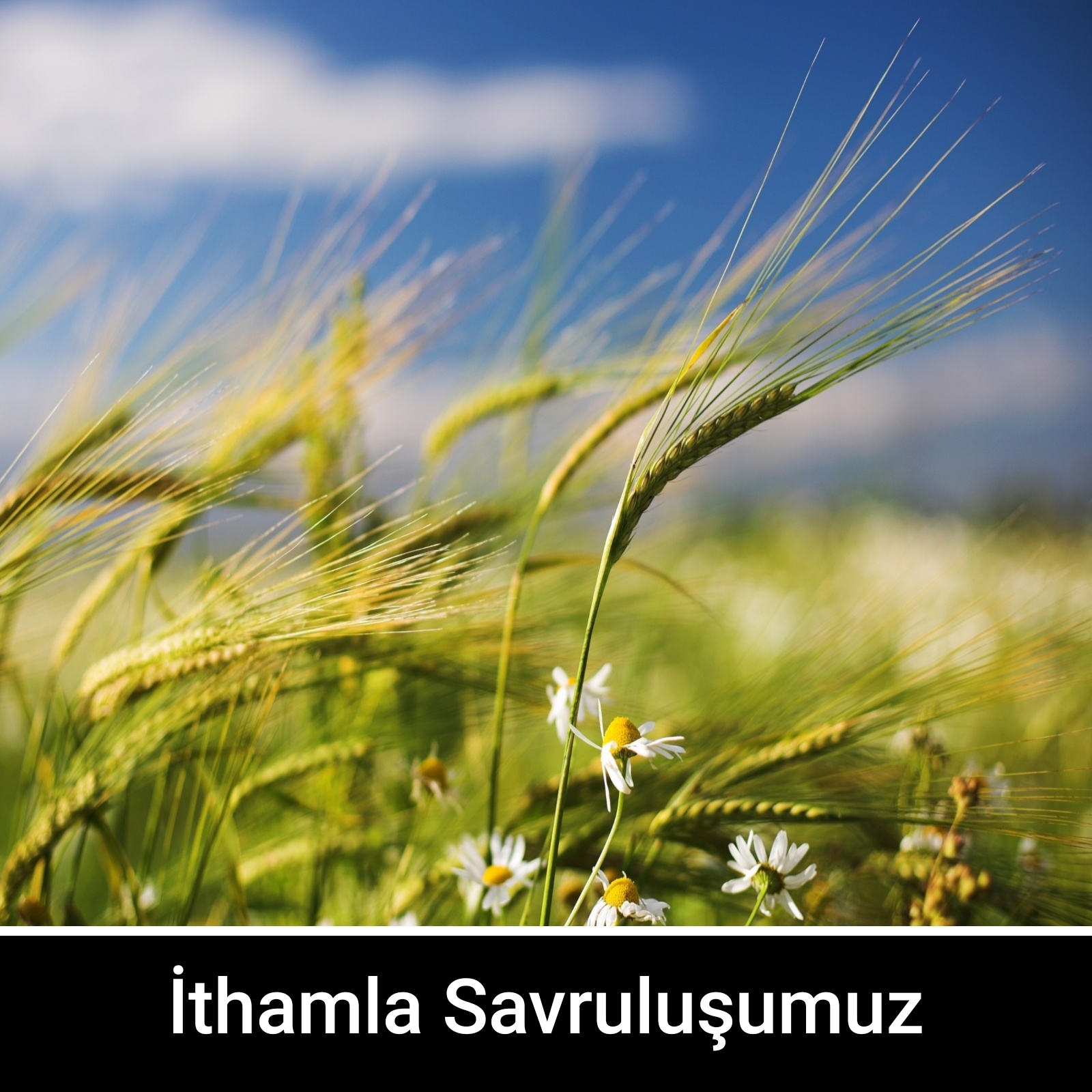 İthamla Savruluşumuz