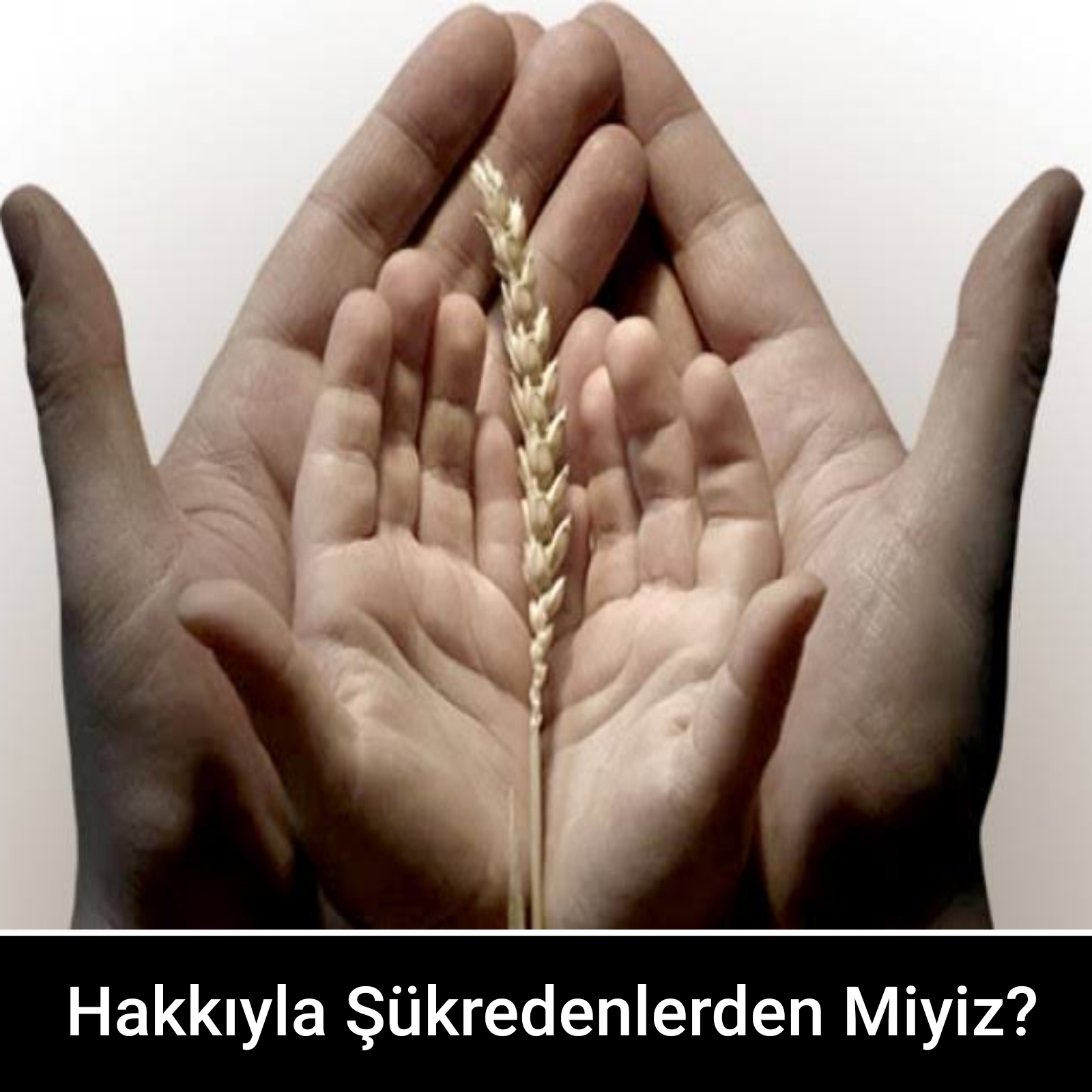 Hakkıyla Şükredenlerden Miyiz?